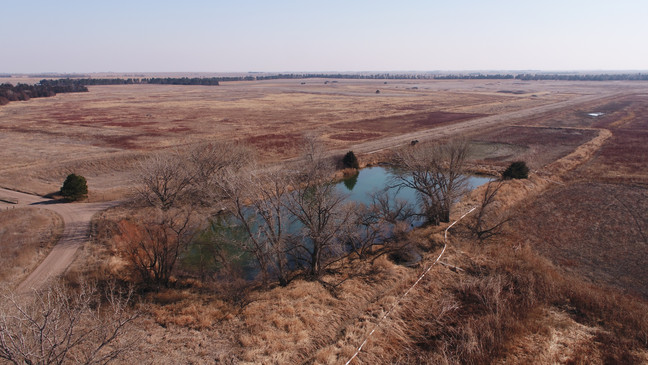 Sacramento Wilcox WMA