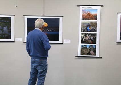 Michael Forsberg Gallery