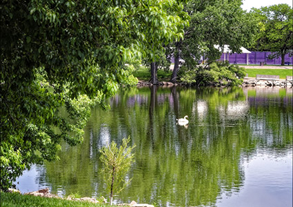 Birdwatching in Phelps County