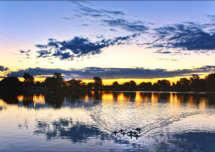 Birdwatching in Phelps County
