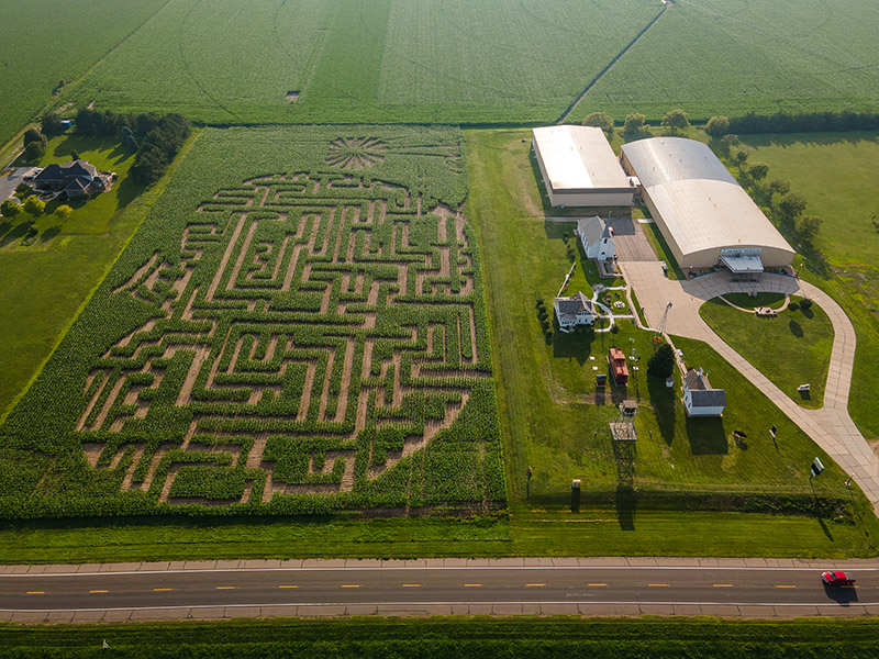 Museum Corn Maze