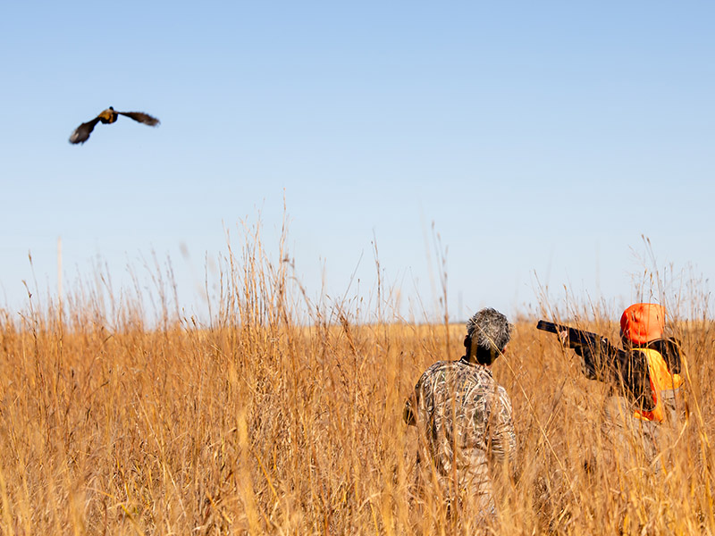 Youth Hunting Mentor